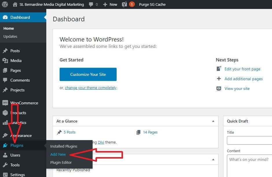 wordpress plugin search